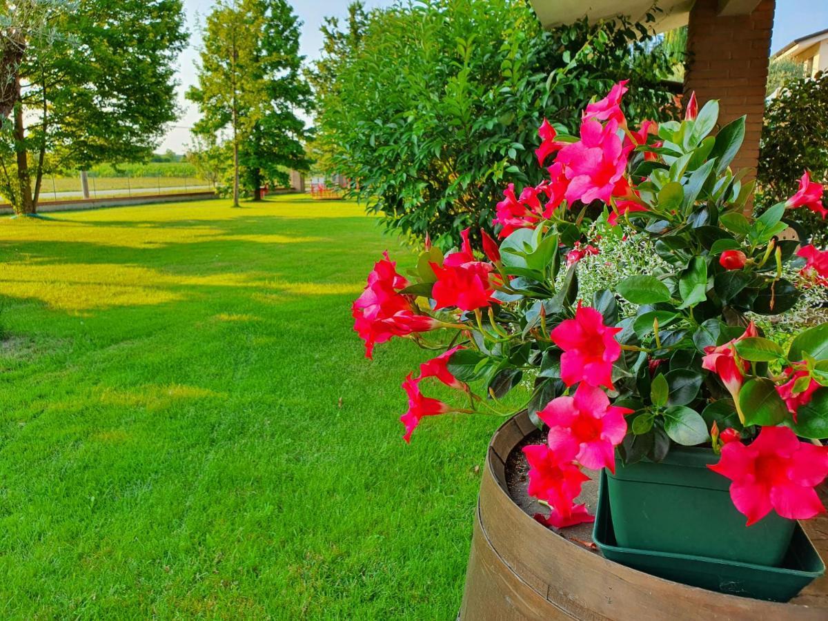 B&B Villalta Treviso Eksteriør billede